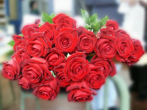 Activa els botons per veure b&eacute; les fotos