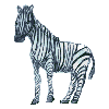 LA ZEBRA