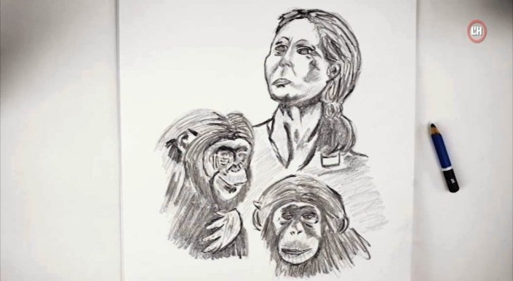 Jane Goodall